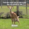 RAW Frozen Scents Early Season Package Deer Attractant Scent Scrape Lure, Peak Estrus, Buck Scent, Deer Hunting (Large Early Season Pro Pack) view 4