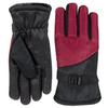 Trail maker Two Tone Winter Gloves for Adult Women, Men, Warm for Extreme Weather Windproof Waterproof Insulated Gloves, Skiing, Snowboarding, Camping (Red) view 1