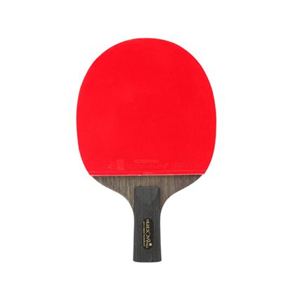 LINGOSHUN Ping Pong Racket Professional,Table Tennis Paddle with Carbon Fiber for Tournament Play,Premium ITTF Approved Rubber / 9 Stars/Short Handle