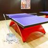 SM SunniMix Table Tennis Ball Picker Upper Pingpong Ball Picker Pick Up Net Accessories view 4