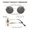FEISEDY Retro Steampunk Sunglasses for Men Women, Round Metal Frame Gothic Vintage Style B2820 view 4