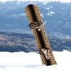 Snowboard Wrap 028 - Cheetah Print Snowboard Graphic Decal - Includes Application Squeegee - 14 inch x 65 inch fits Most Snowboards - view 2