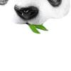Foam Panda Bear Costume Accessory Mask view 2