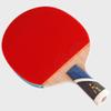 LINGOSHUN Professional Ping Pong Paddle,Comfortable Handle,Intermediate Amateur Training Table Tennis Racket / 5 Stars/Short Handle view 2