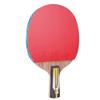 LINGOSHUN Ping Pong Paddle Set Allround Comfortable Handle,Professional Intermediate Amateur Training Table Tennis Bats,ITTF Approved / 6 Stars/Short Handle view 1