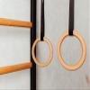 BenchK 211B+A076 Wallbars, Stall Bars, Swedish Ladder, Gymnastic Ladder with 8 Beech Oval Rungs, Adjustable Beech Wooden Pull Up Bar and Gymnastic Accessories Such as Wooden Rings view 4
