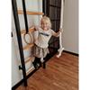 BenchK 221B+A076 Wallbars, Stall Bars, Swedish Ladder, Gymnastic Ladder with Fixed Steel 6-Grip Pull Up Bar, Gymnastic Rings, Rope and Swing, Wall Mounted for Suspension and Strength Training view 2
