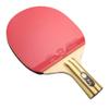 LINGOSHUN Professional Ping Pong Paddle with Bat Case,5-ply Wood and 2-ply Carbon Table Tennis Bat with ITTF Approved Rubber / 4 Stars/Short Handle view 2
