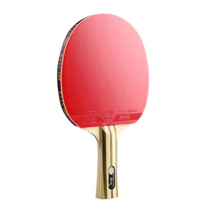 LINGOSHUN Professional Ping Pong Paddle with Bat Case,5-ply Wood and 2-ply Carbon Table Tennis Bat with ITTF Approved Rubber / 4 Stars/Long Handle