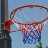 BBZY Heavy Duty Wall Mounted Basketball Hoop,17.7 Inch Professional Hanging Basketball Rim Fits Indoor and Outdoor Wall view 3