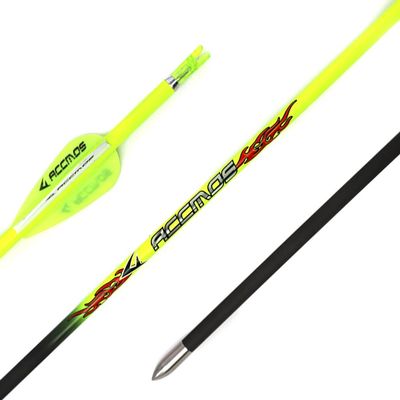 Spine 400 Arrow for 55 Lb Compound Bow 27 Inch Arrow Target Practice Arrow Hunting Arrow Carbon Arrows Adult Youth Archery Indoor Outdoor Shooting Bullet Tip 12pc