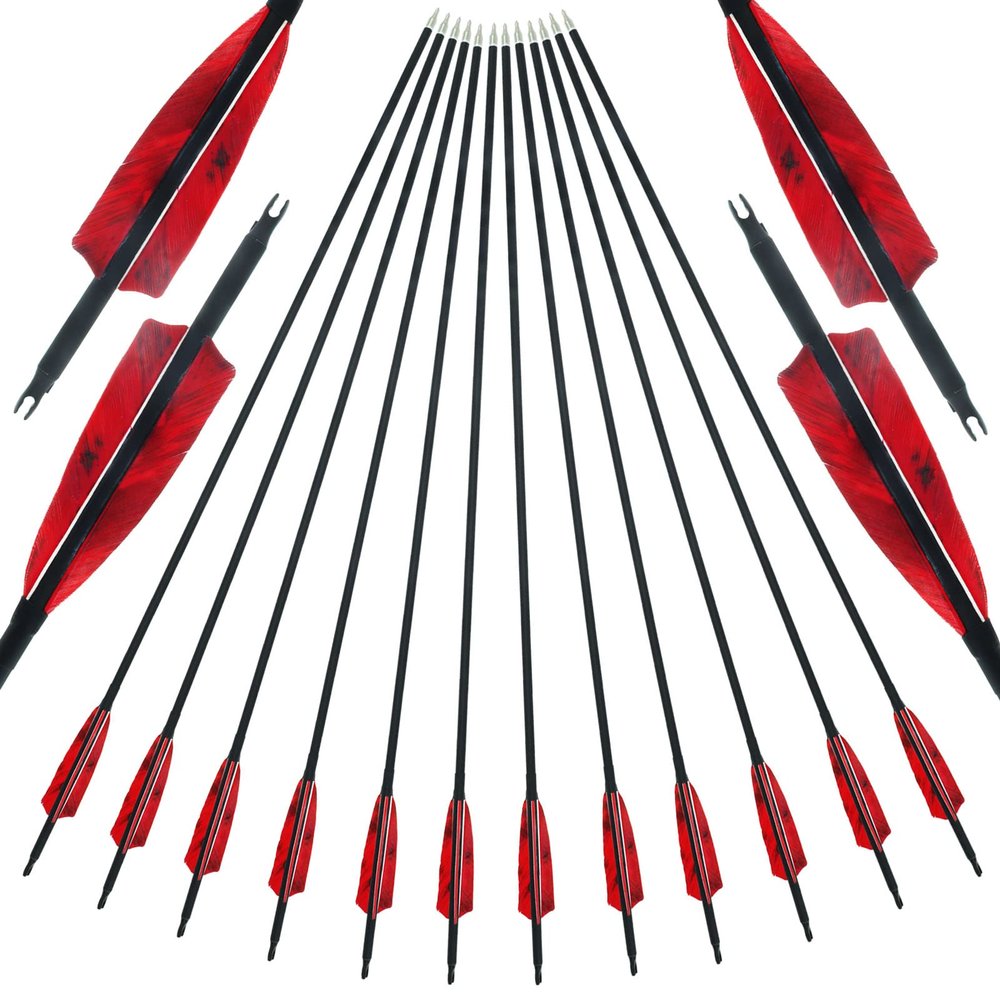 30/31Inch Archery Carbon Arrow Shafts Spine 500 with 4Inch Real Turkey Feather Hunting Target Practice Carbon Arrow for Compound Bow and Traditional Recurve Long Bow Pack of 12 (30 Inch)