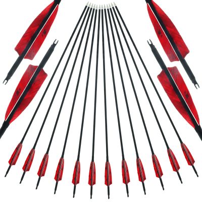 30/31Inch Archery Carbon Arrow Shafts Spine 500 with 4Inch Real Turkey Feather Hunting Target Practice Carbon Arrow for Compound Bow and Traditional Recurve Long Bow Pack of 12 (31 Inch)