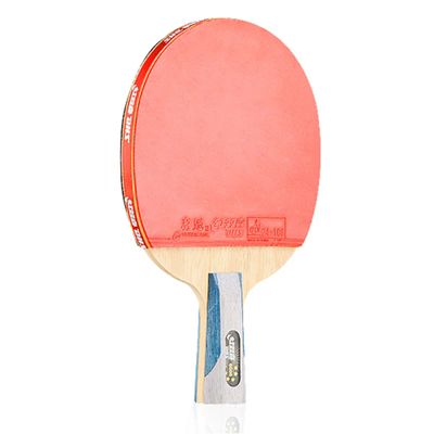 LINGOSHUN Ping Pong Paddle Set,Table Tennis Bats 1 Player Suit,Table Tennis Racket 5-Layer Wood for Trainers,Amateurs,Beginners / 6 Stars/Short Handle