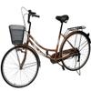 City Bike view 2