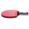 LINGOSHUN Ping Pong Paddle Set,5-Layer Wood,Table Tennis Racket for Trainers,Amateurs,Beginners,Table Tennis Bats 1 Player Suit / 2 Stars/Short Handle view 3