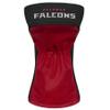 Atlanta Falcons view 2