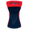 New England Patriots view 2