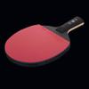 LINGOSHUN Ping Pong Paddle Advanced Performance,ITTF Approved,Table Tennis Racket for High-Level Training,Offensive Rubber / 9 Stars/Short Handle view 2