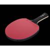LINGOSHUN Ping Pong Paddle Advanced Performance,ITTF Approved,Table Tennis Racket for High-Level Training,Offensive Rubber / 9 Stars/Long Handle view 3