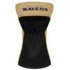 Baltimore Ravens view 2