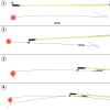 Yonihawk Fishing red Beads Stainless Steel for ice Fishing (24pcs) view 3
