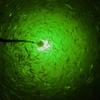 Underwater Fish Light Heavy Duty 12V LED Portable Green Light, Includes 20 of Marine Grade Wire, Sinker Weight, and Alligator Clips, Salt or Fresh Water, Perfect for Pier, Kayak, or Ice Fishing view 4
