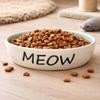 SPOT Oval Green Meow Dish 6 58575 view 2