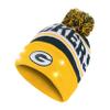 FOCO Green Bay Packers NFL Snow Stealer Light Up Beanie view 1