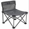 ALPS Mountaineering Adventure Folding Camping Chairs - Durable Mesh Fabric Over Powder Coated Aluminum with Simple Compact Design and Shoulder Carry Bag, Charcoal view 1