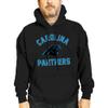 Team Fan Apparel NFL Gameday Adult Hooded Sweatshirt, Pro Football Fleece Hoodie Pullover Sweatshirt (Carolina Panthers - Black, Medium) view 1