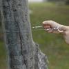 Survival Wire Camping Saw, Stainless Steel Portable Angle Commando Saw - Universal and Ideal for Survival Kits view 4