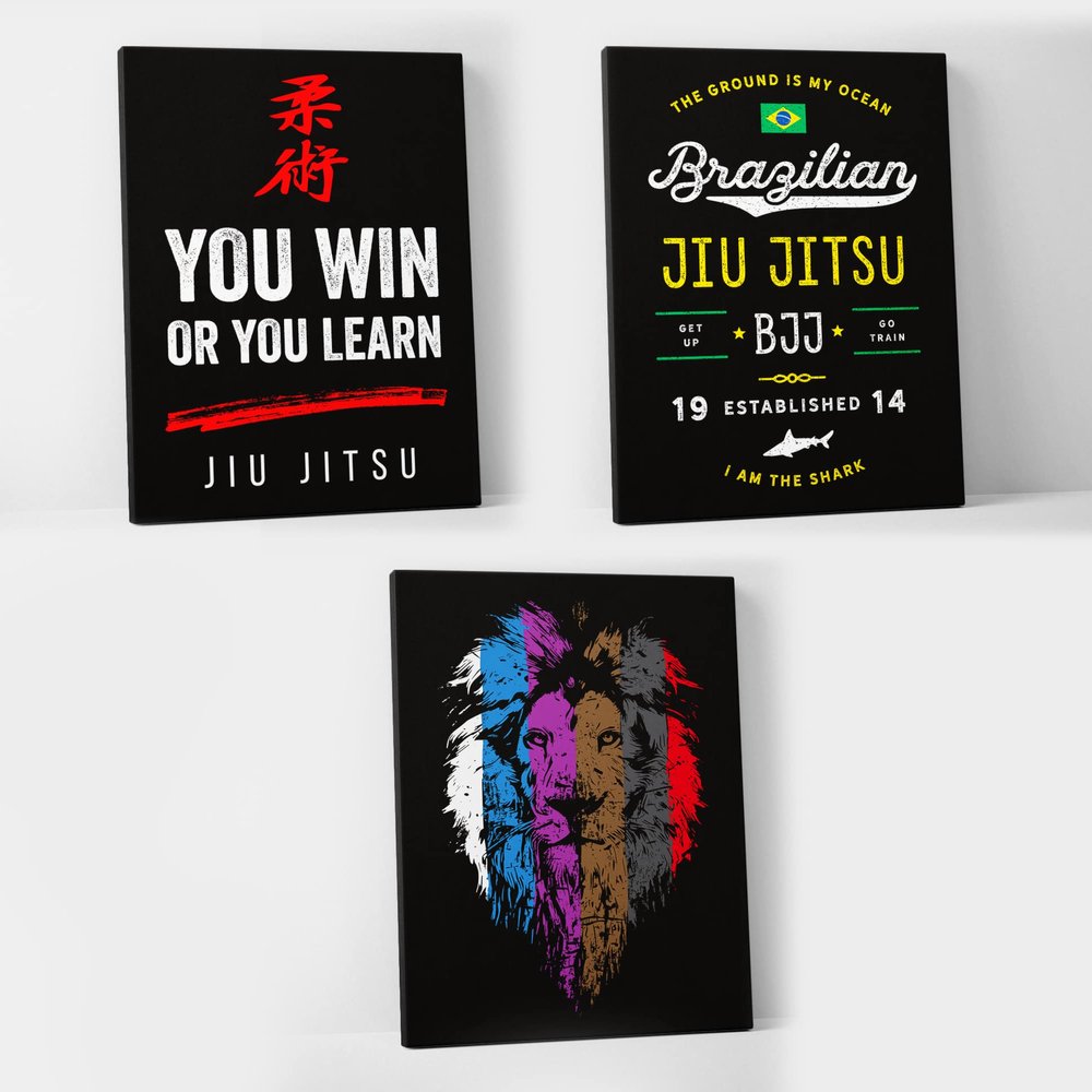 Damdekoli Jiu Jitsu Poster - Set of 3 - BJJ Wall Art Full Color - Brazilian Jiu Jitsu (24 x 36 Inches - Canvas)