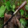 Nooraki 11 Handmade Damascus Steel Bushcraft Knife with Brown Micarta Handle Full Tang Outdoor Survival Knife for Camping & Hunting Includes Leather Sheath view 4
