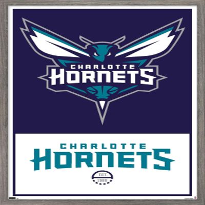 Trends International NBA Charlotte Hornets - Logo 21 Wall Poster, 22.375" x 34", Barnwood Framed Version