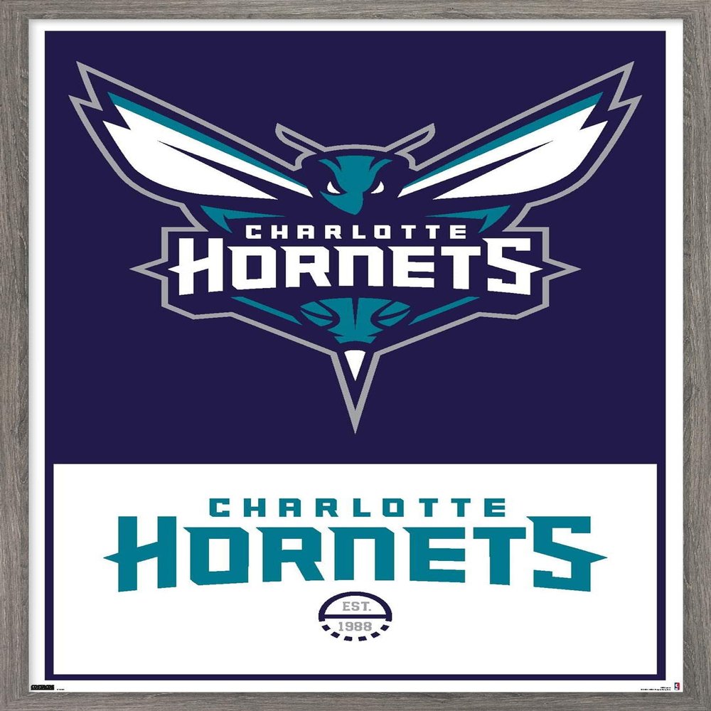 Trends International NBA Charlotte Hornets - Logo 21 Wall Poster, 22.375" x 34", Barnwood Framed Version