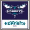 Trends International NBA Charlotte Hornets - Logo 21 Wall Poster, 22.375" x 34", Barnwood Framed Version view 1