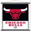 Trends International NBA Chicago Bulls - Logo 21 Wall Poster, 22.375" x 34", Premium Print and Black Hanger Bundle view 1