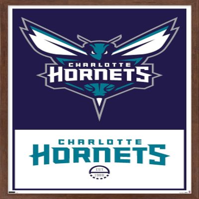 Trends International NBA Charlotte Hornets - Logo 21 Wall Poster, 22.375" x 34", Mahogany Framed Version