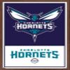 Trends International NBA Charlotte Hornets - Logo 21 Wall Poster, 22.375" x 34", Mahogany Framed Version view 1