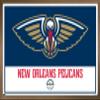 Trends International NBA New Orleans Pelicans - Logo 21 Wall Poster, 22.375" x 34", Bronze Framed Version view 1