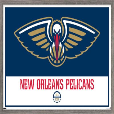 Trends International NBA New Orleans Pelicans - Logo 21 Wall Poster, 22.375" x 34", Barnwood Framed Version