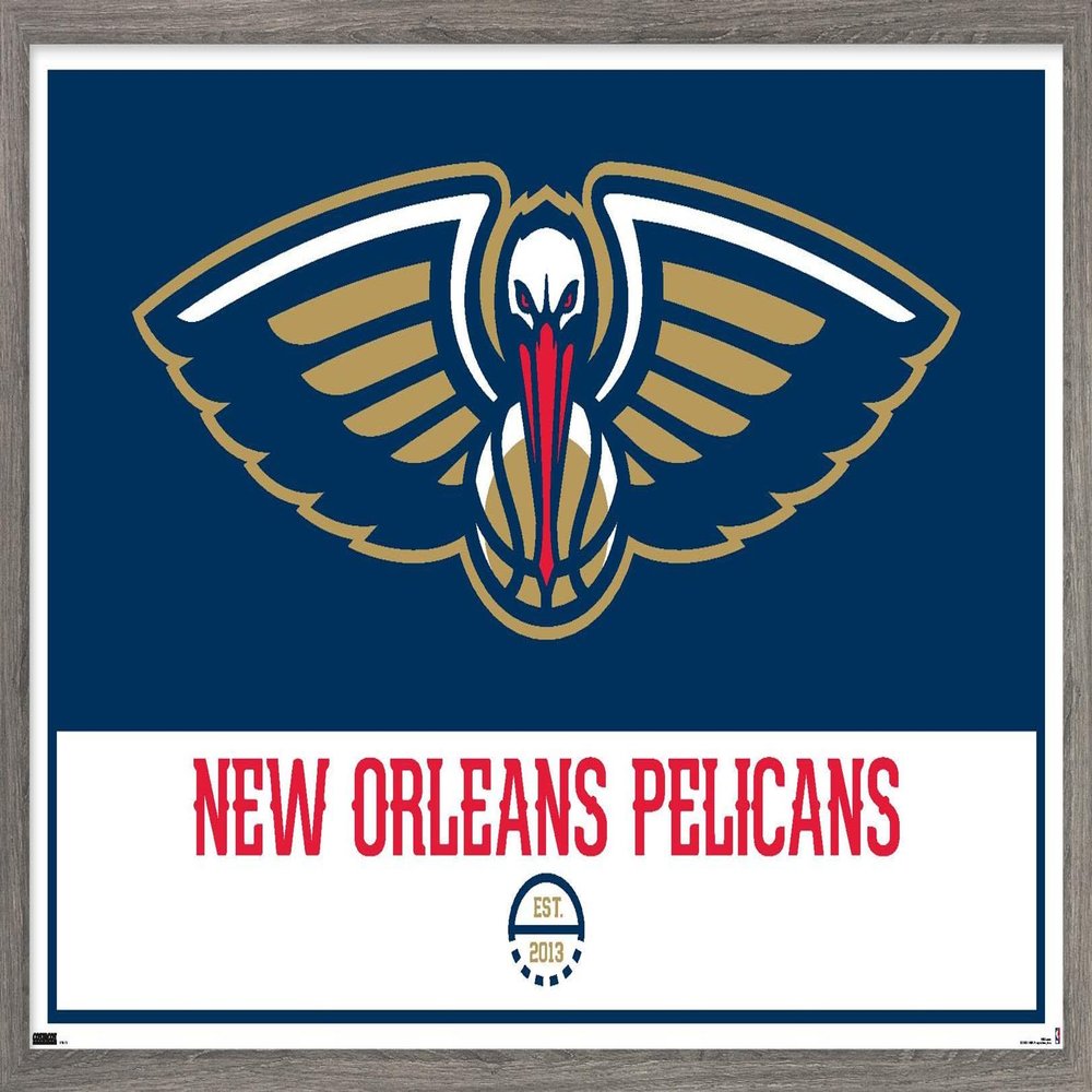 Trends International NBA New Orleans Pelicans - Logo 21 Wall Poster, 22.375" x 34", Barnwood Framed Version