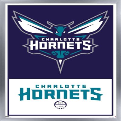 Trends International NBA Charlotte Hornets - Logo 21 Wall Poster, 22.375" x 34", Silver Framed Version