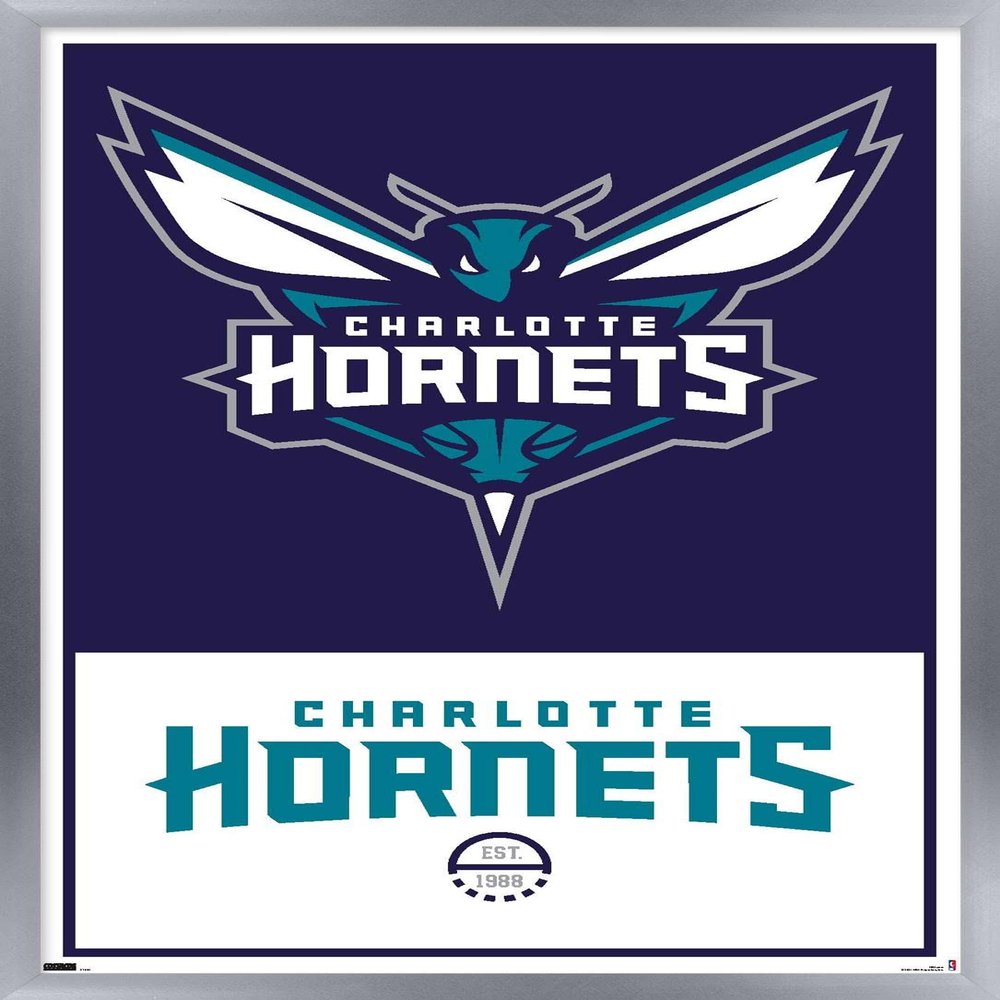 Trends International NBA Charlotte Hornets - Logo 21 Wall Poster, 22.375" x 34", Silver Framed Version