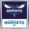 Trends International NBA Charlotte Hornets - Logo 21 Wall Poster, 22.375" x 34", Silver Framed Version view 1