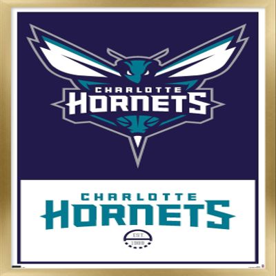 Trends International NBA Charlotte Hornets - Logo 21 Wall Poster, 22.375" x 34", Gold Framed Version