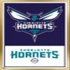 Trends International NBA Charlotte Hornets - Logo 21 Wall Poster, 22.375" x 34", Gold Framed Version view 1