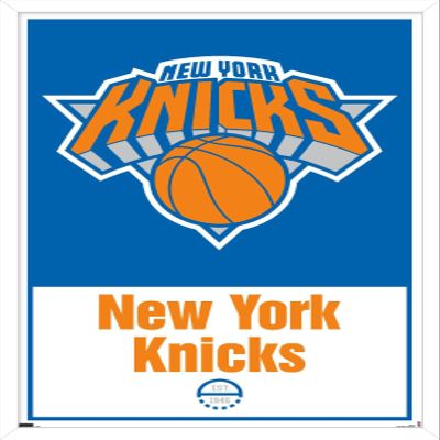Trends International NBA New York Knicks - Logo 21 Wall Poster, 22.375" x 34", White Framed Version