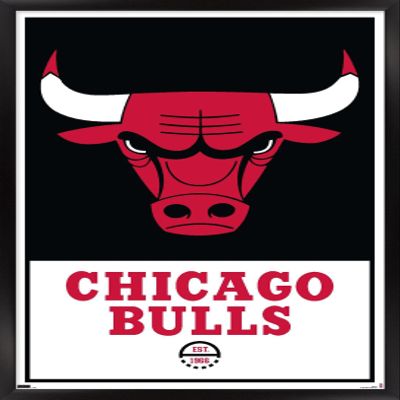 Trends International NBA Chicago Bulls - Logo 21 Wall Poster, 22.375" x 34", Black Framed Version